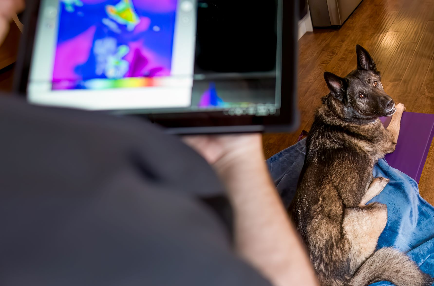 Performing thermal imaging services on a patient using an infrared camera.