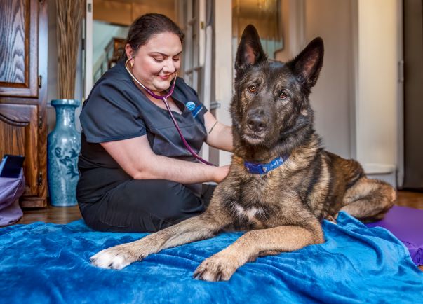 Preforming a full head to tail patient exam