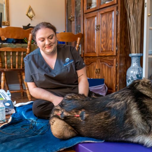 Performing an electrical stimulation treatment on a patient, like Dr. Ho's machine, provides electrical pulses to the muscles to combat atrophy and provide pain relief.